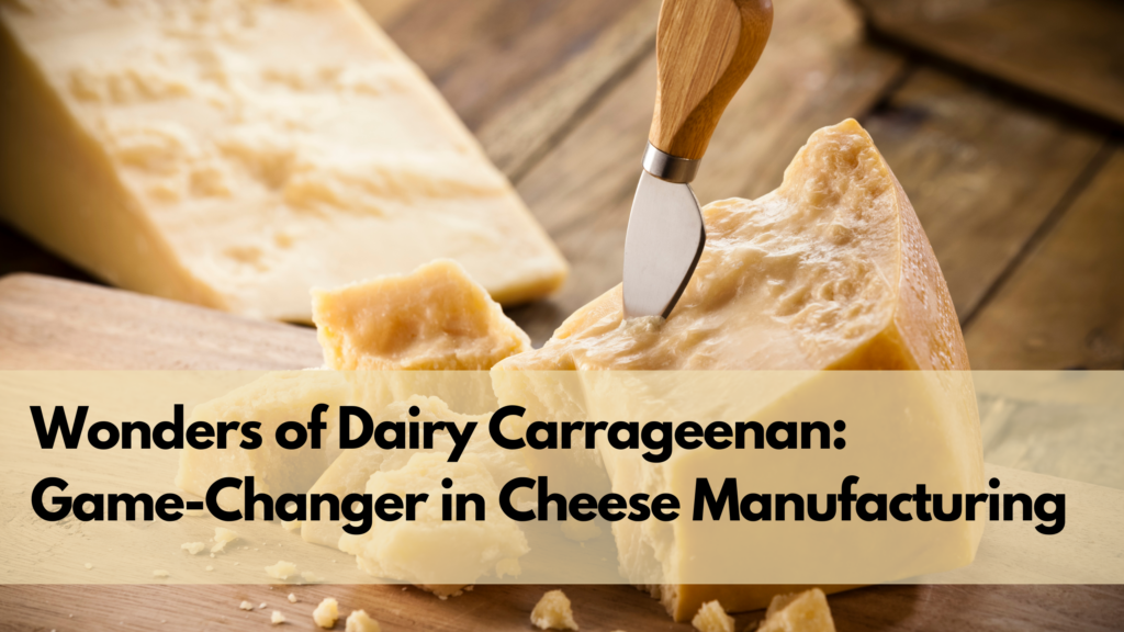 dairy carrageenan